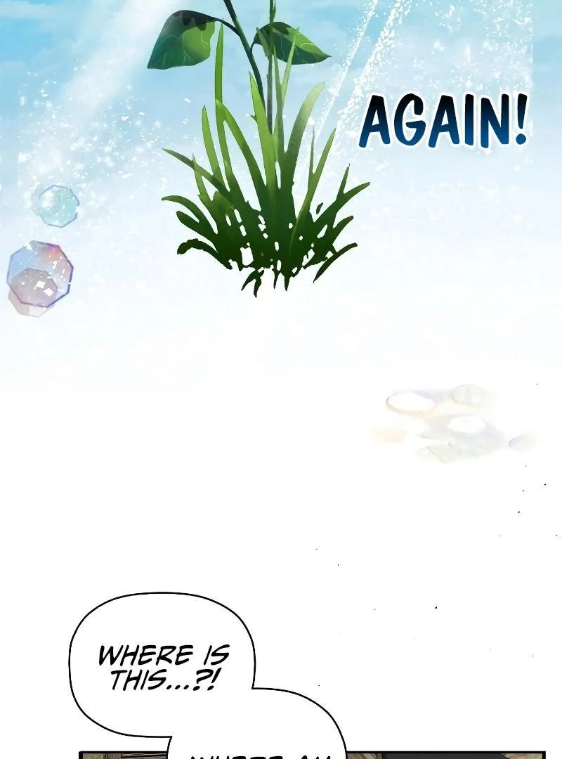 74288204 800 1080 59232